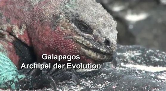 Galapagos Titel