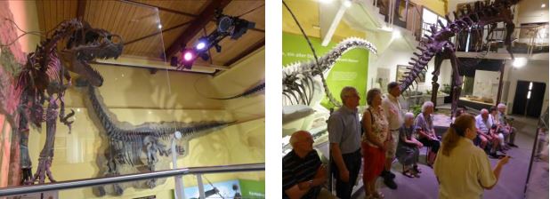 Dinosauriermuseum