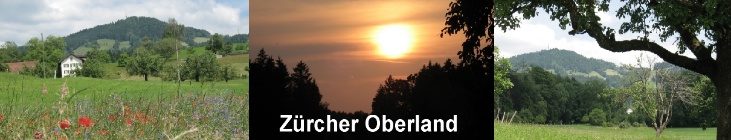 Zuercher Oberland Sommer