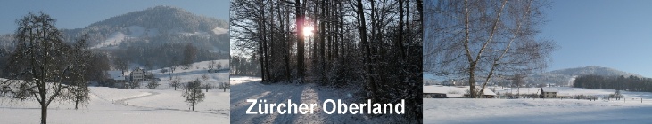 Zuercher Oberland